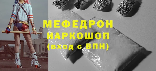 индика Осташков