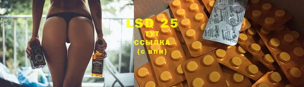 индика Осташков