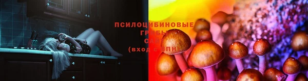 индика Осташков