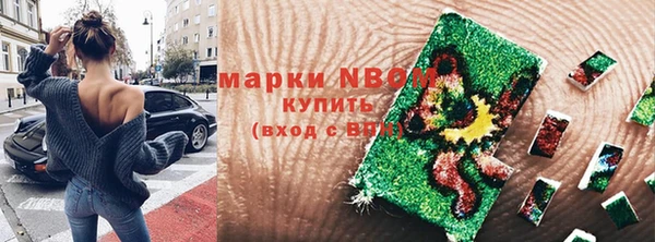 индика Осташков