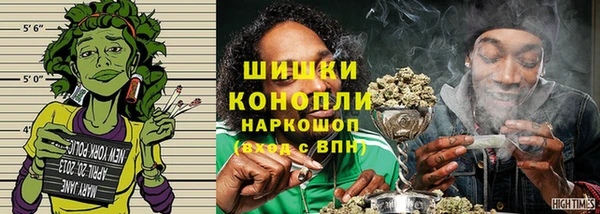 индика Осташков