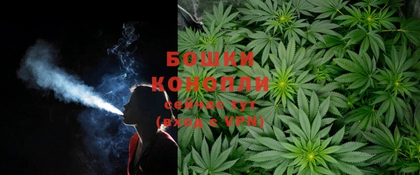 кристаллы Осинники