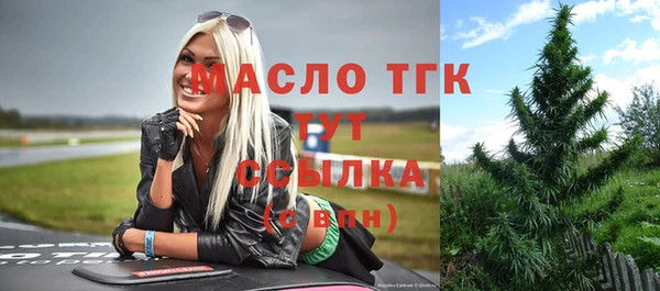 индика Осташков