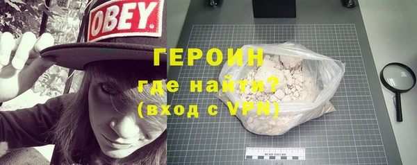 индика Осташков