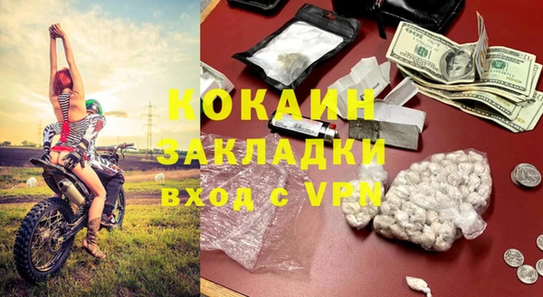 индика Осташков