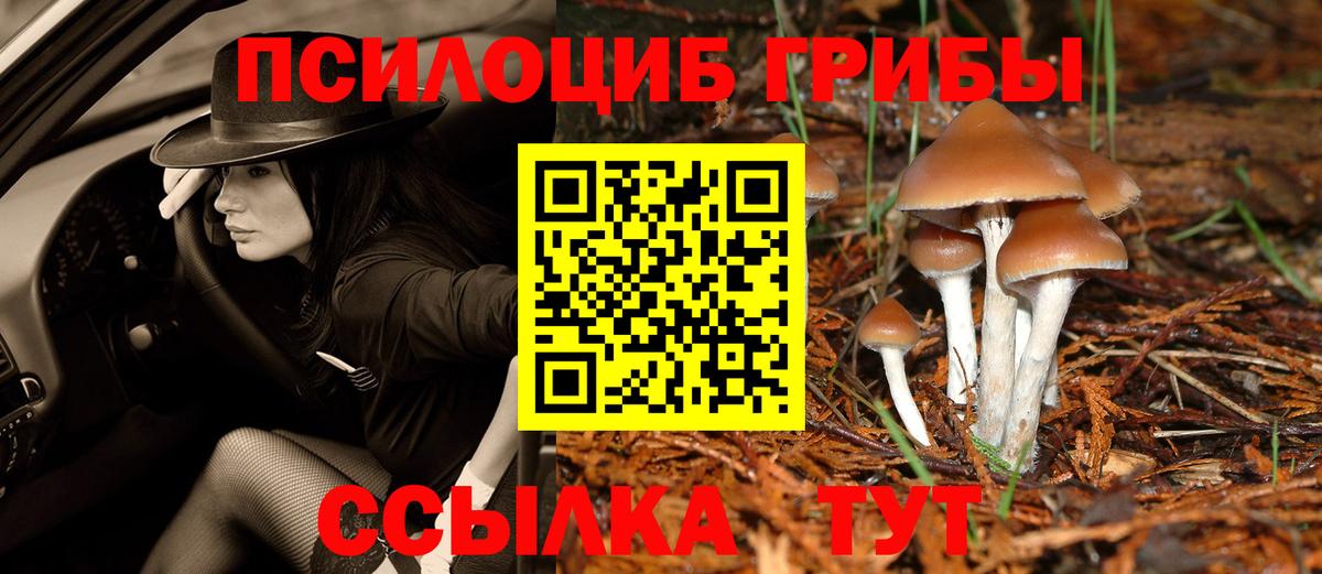 Галлюциногенные грибы ЛСД  Псилоцибиновые грибы прущие грибы  Богородицк  Вход с VPN 