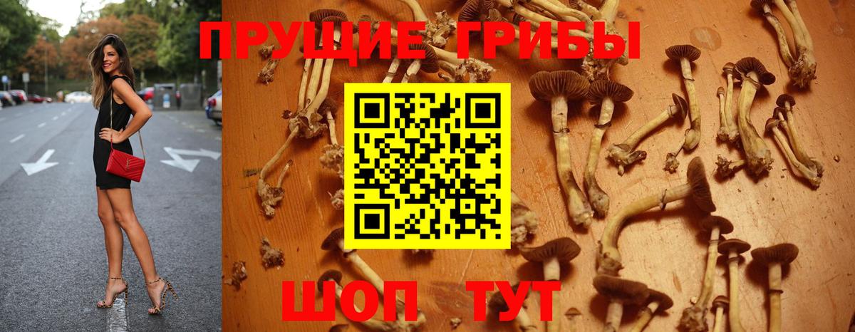 Галлюциногенные грибы мицелий Богородицк