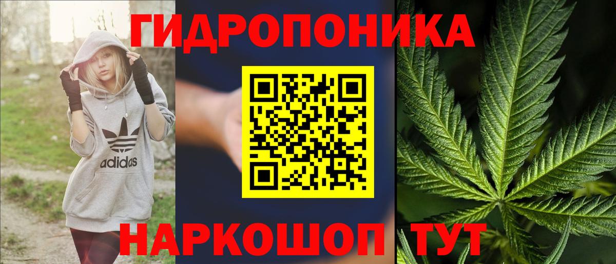 Конопля план  Вход с VPN  Богородицк  Конопля Amnesia  Марихуана VHQ 