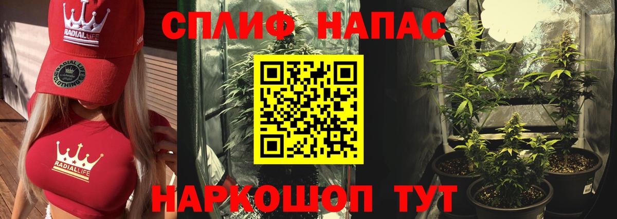 Каннабис White Widow Богородицк